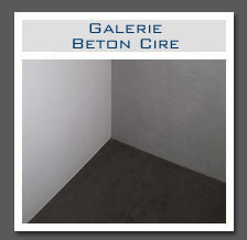 Plants: image 14 0f 41 thumb