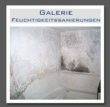 Plants: image 1 0f 13 thumb