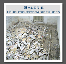 Plants: image 2 0f 13 thumb