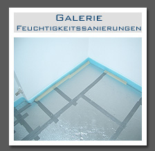 Plants: image 3 0f 13 thumb