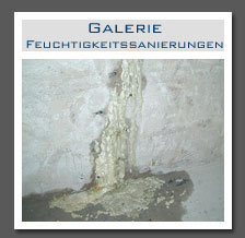 Plants: image 12 0f 13 thumb