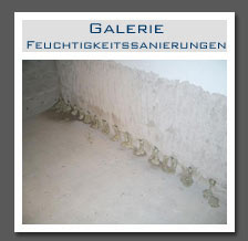 Plants: image 13 0f 13 thumb