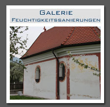 Plants: image 13 0f 13 thumb