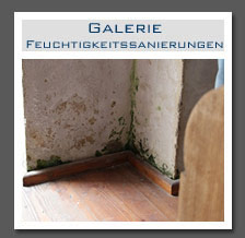 Plants: image 13 0f 13 thumb