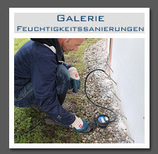 Plants: image 13 0f 13 thumb