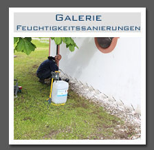 Plants: image 13 0f 13 thumb