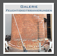 Plants: image 1 0f 13 thumb