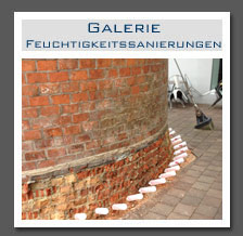 Plants: image 1 0f 13 thumb