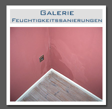 Plants: image 5 0f 13 thumb