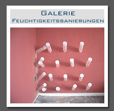 Plants: image 6 0f 13 thumb