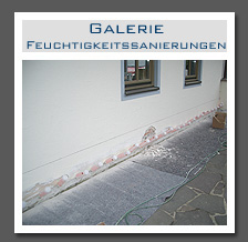 Plants: image 7 0f 13 thumb