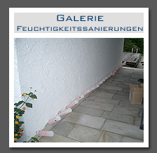 Plants: image 8 0f 13 thumb