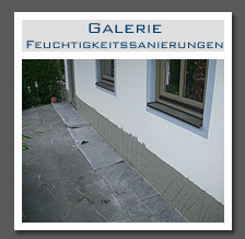 Plants: image 9 0f 13 thumb