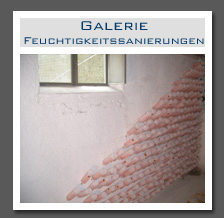 Plants: image 10 0f 13 thumb