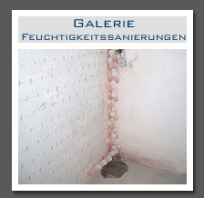 Plants: image 11 0f 13 thumb