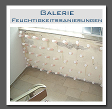 Plants: image 12 0f 13 thumb