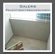 Plants: image 13 0f 13 thumb