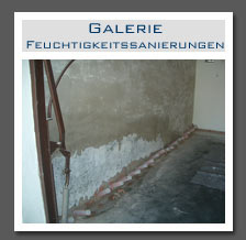 Plants: image 13 0f 13 thumb