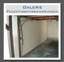 Plants: image 13 0f 13 thumb