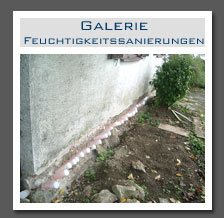 Plants: image 13 0f 13 thumb