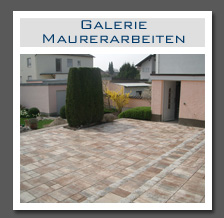 Plants: image 9 0f 29 thumb