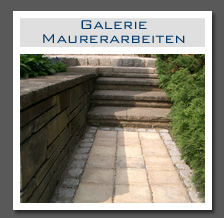 Plants: image 11 0f 29 thumb