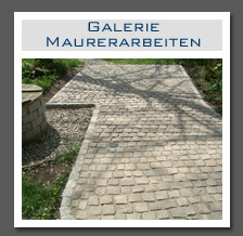 Plants: image 12 0f 29 thumb