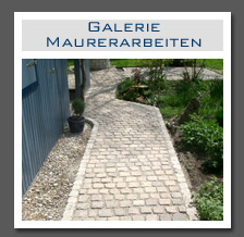 Plants: image 13 0f 29 thumb