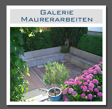 Plants: image 17 0f 29 thumb