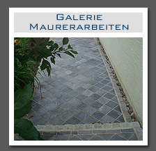 Plants: image 20 0f 29 thumb