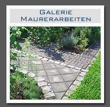 Plants: image 21 0f 29 thumb