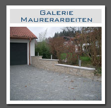 Plants: image 24 0f 29 thumb